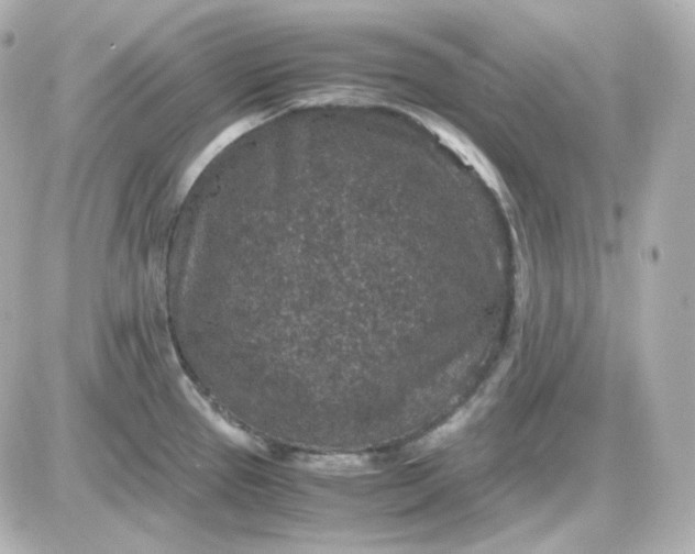 X0000087521337200705111957