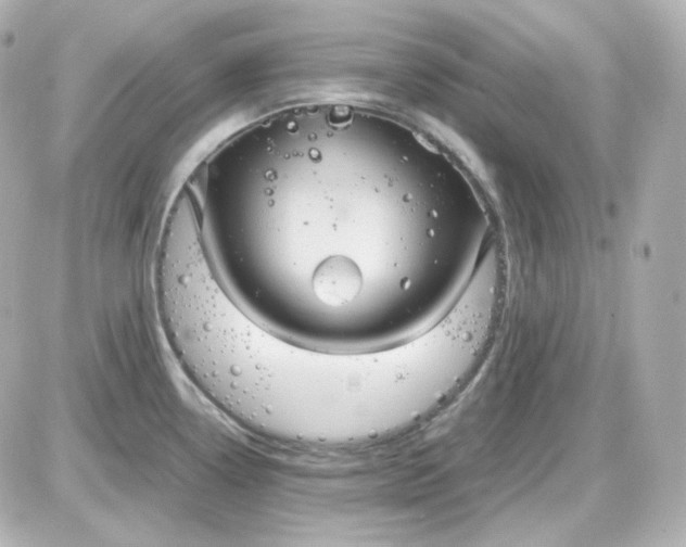 X0000087521338200705111957