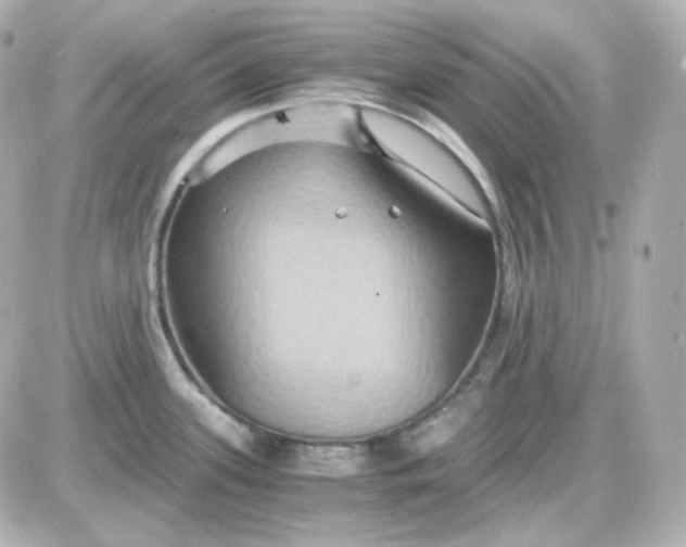 X0000087521339200705111957