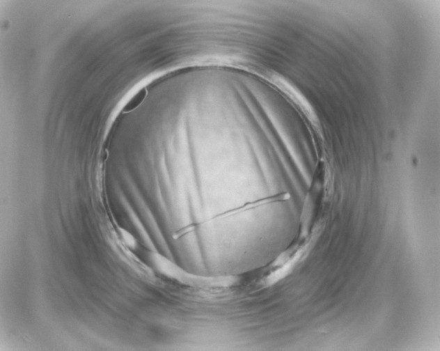 X0000087521340200705111957