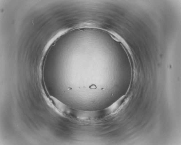 X0000087521341200705111957