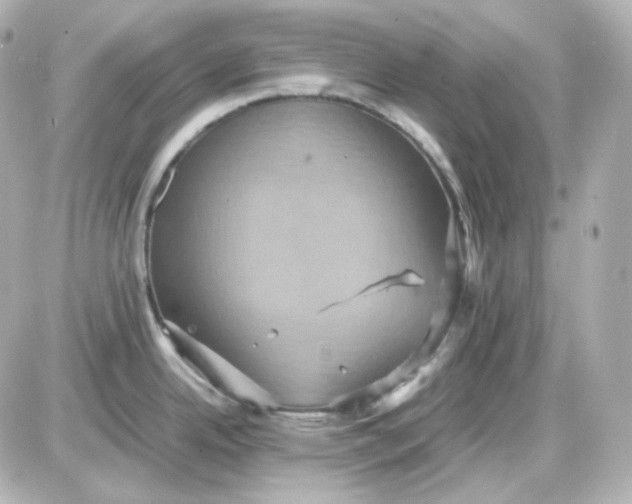 X0000087521342200705111957