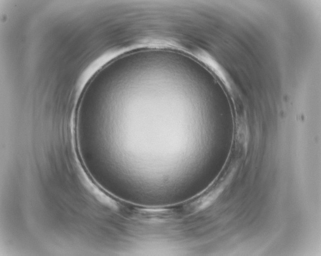 X0000087521343200705111957