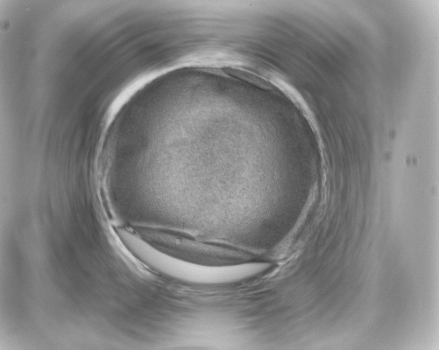 X0000087521344200705111957