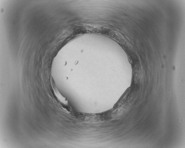 X0000087521345200705111956