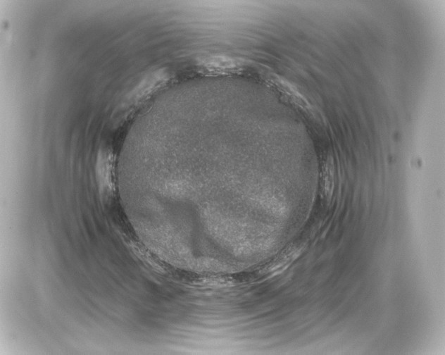 X0000087521346200705111956