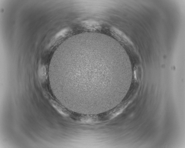 X0000087521347200705111956