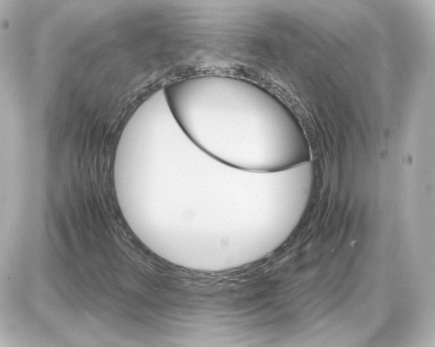 X0000087521348200705111956