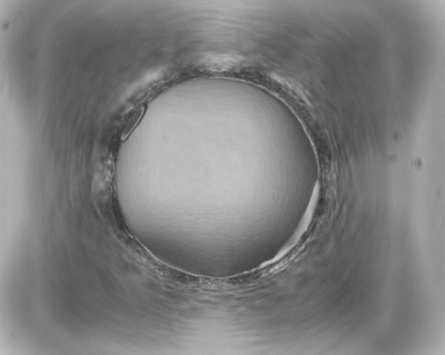 X0000087521349200705111956