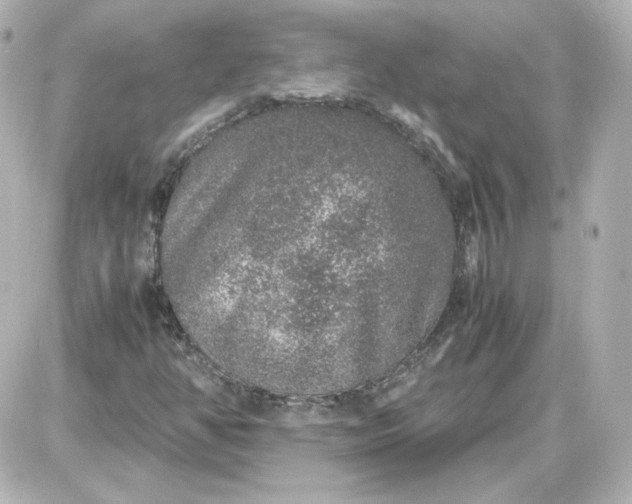 X0000087521350200705111956