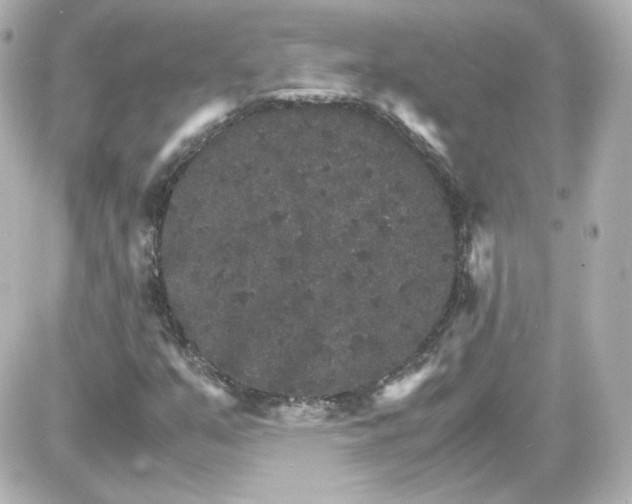 X0000087521351200705111956