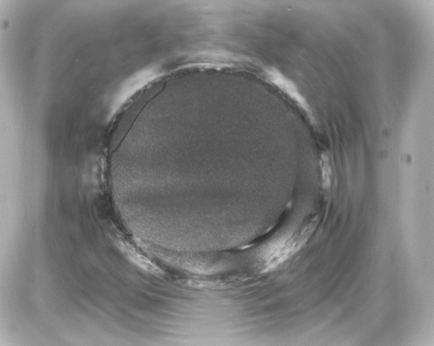 X0000087521352200705111956