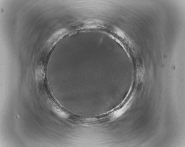 X0000087521353200705111956