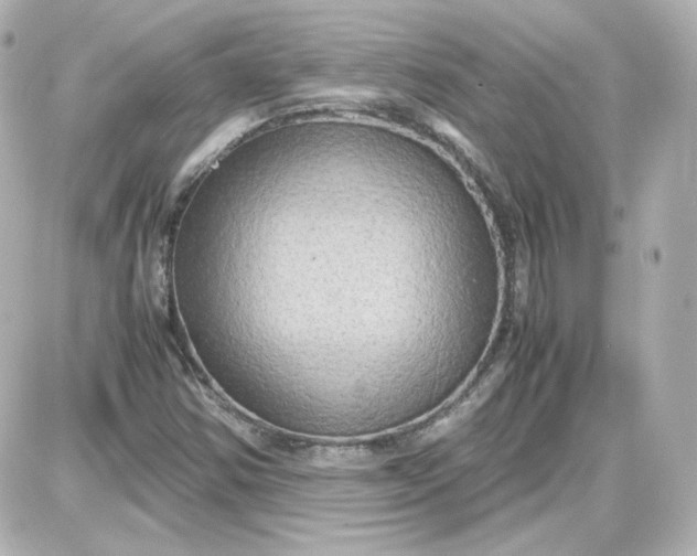 X0000087521354200705111956