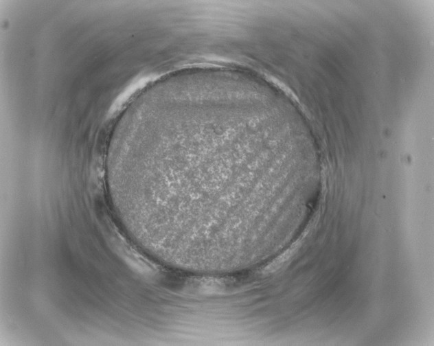 X0000087521355200705111956