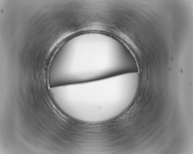 X0000087521356200705111956