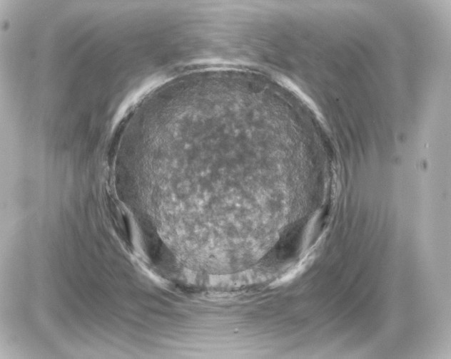 X0000087521357200705111956