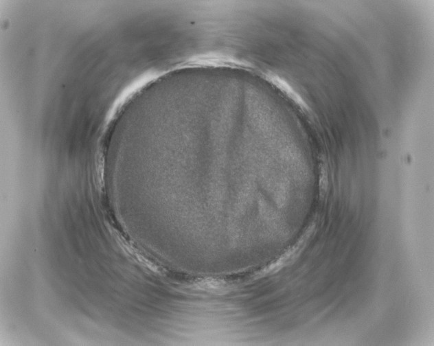 X0000087521358200705111956