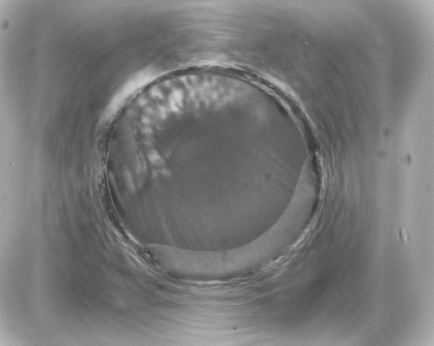 X0000087521359200705111956