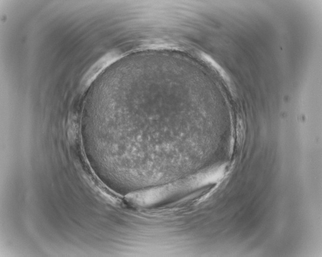 X0000087521361200705111956