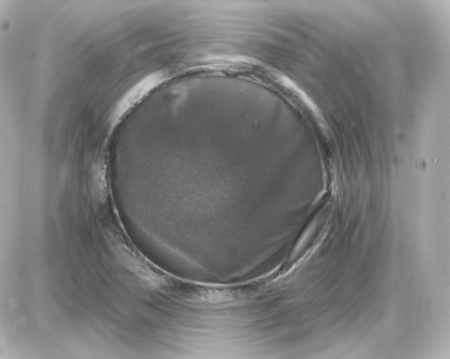 X0000087521362200705111956