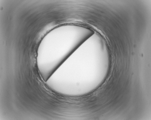 X0000087521363200705111956