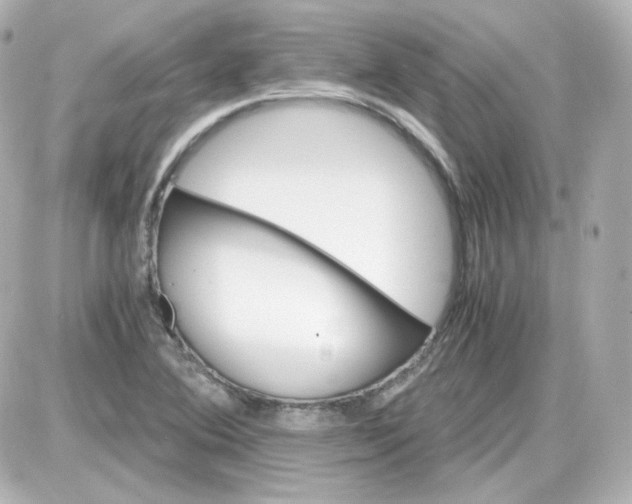 X0000087521364200705111956