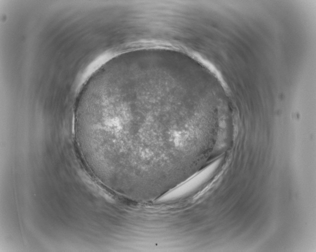 X0000087521365200705111956