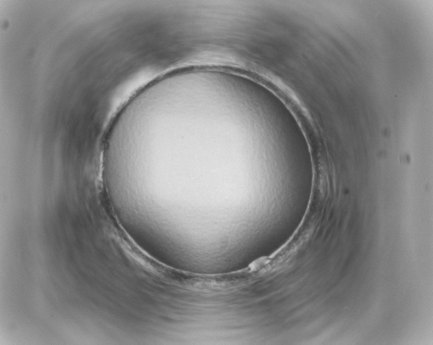 X0000087521366200705111956