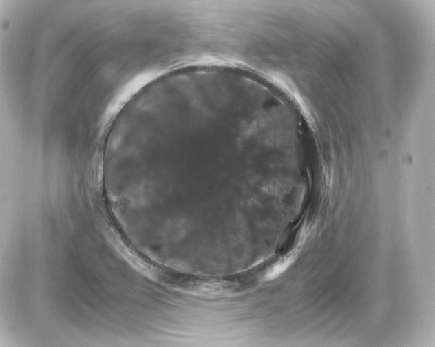 X0000087521367200705111956