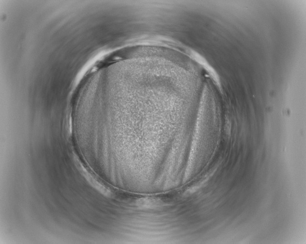 X0000087521368200705111956