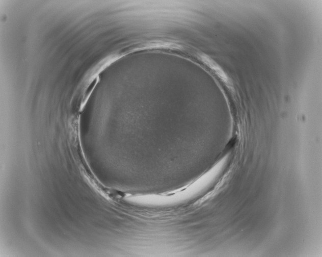 X0000087521369200705111956