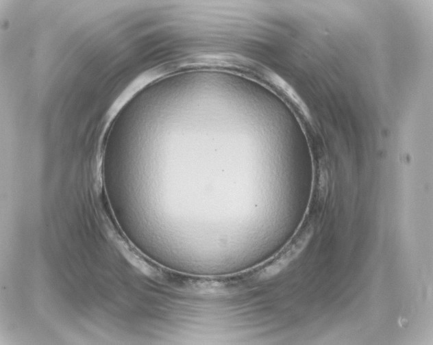 X0000087521370200705111956