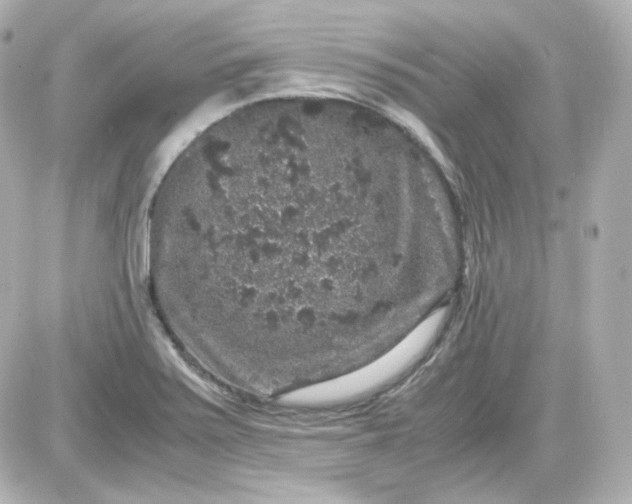 X0000087521371200705111955