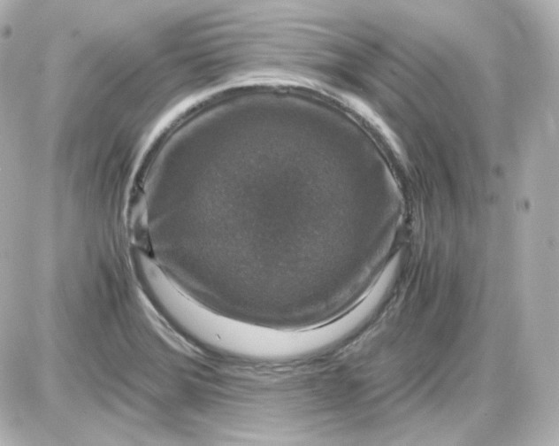 X0000087521372200705111955