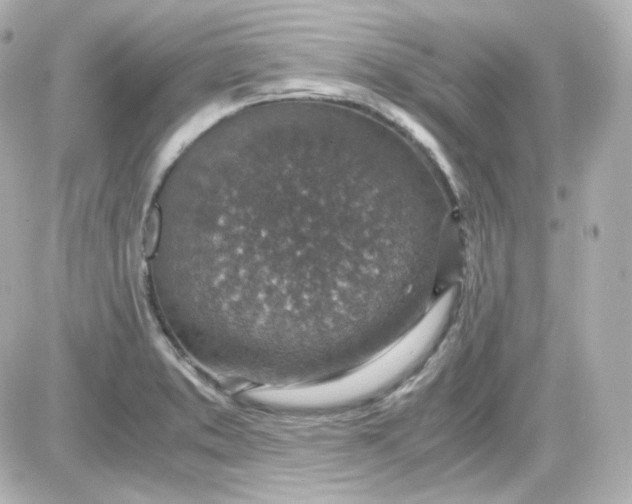 X0000087521373200705111955