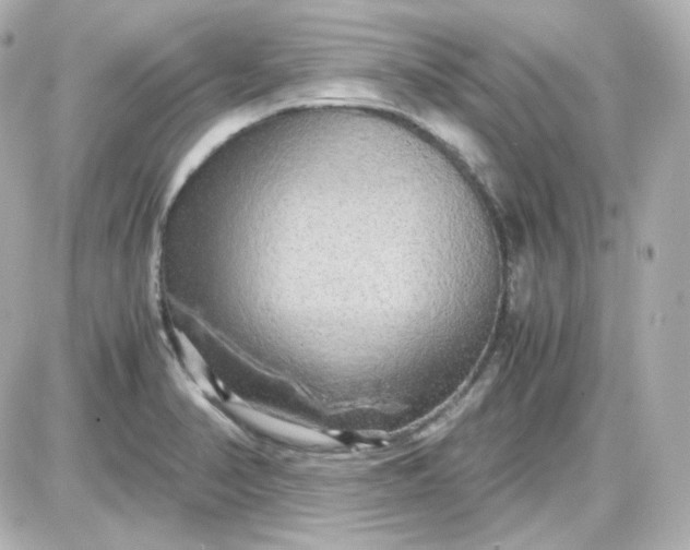 X0000087521374200705111955