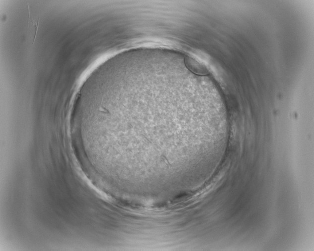 X0000087521375200705111955