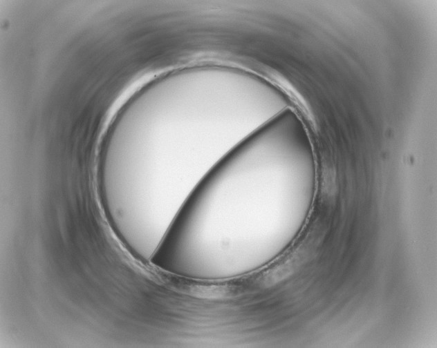 X0000087521376200705111955