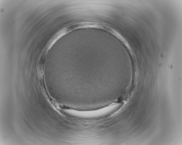 X0000087521377200705111955