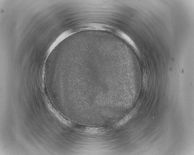 X0000087521378200705111955