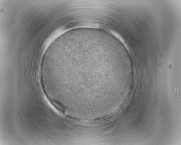 X0000087521379200705111955