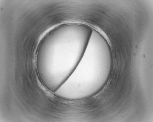 X0000087521380200705111955