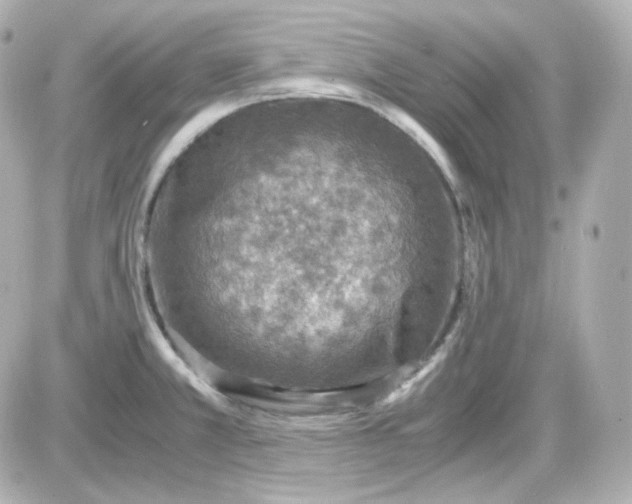 X0000087521381200705111955