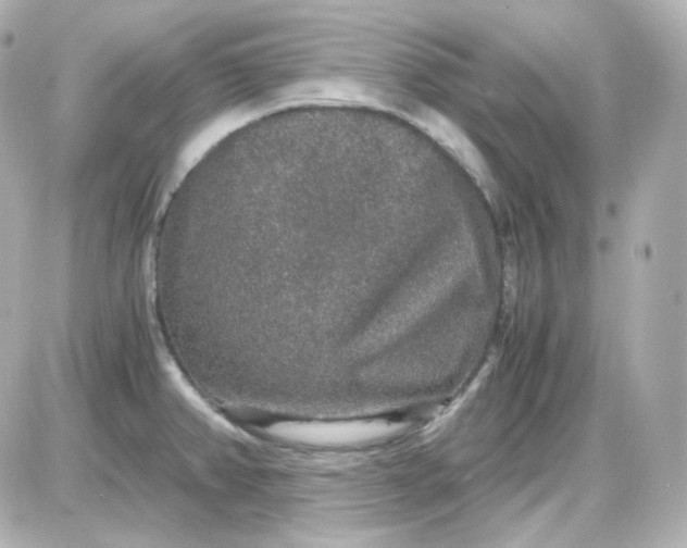 X0000087521382200705111955