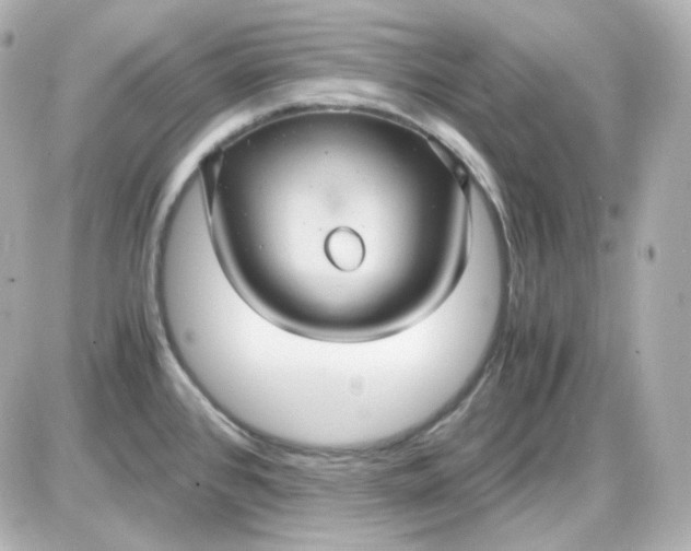 X0000087521384200705111955