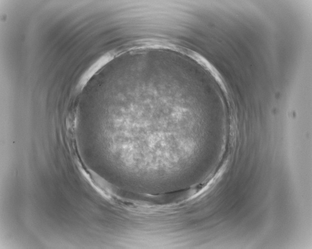 X0000087521385200705111955