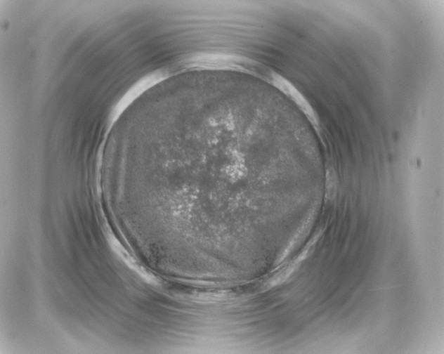 X0000087521386200705111955