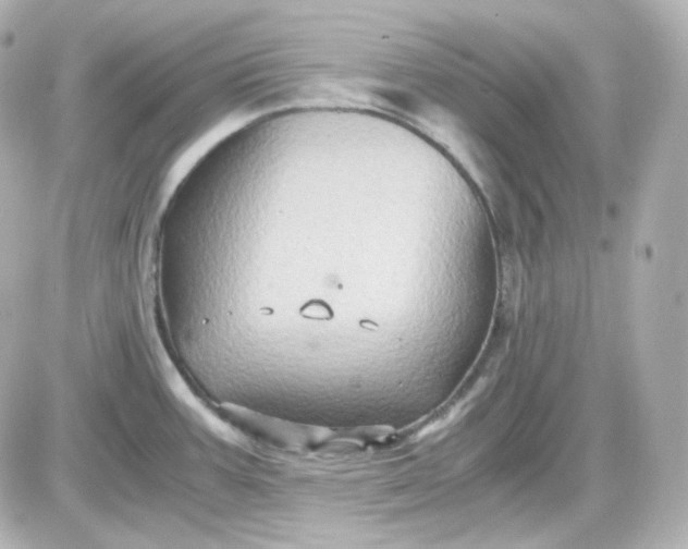 X0000087521387200705111955