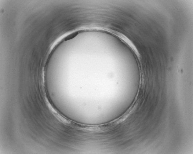 X0000087521388200705111955